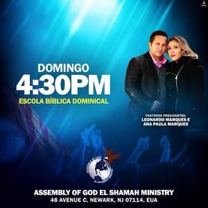 Meet your Posher, Leonardo